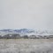 Taylor Mountain from Idaho Falls