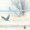 Crows