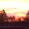 sunset and horses