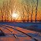 Cold Lonely Sunset