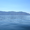 The Green Monarchs of Pend Oreille