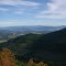 The View