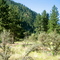 Bluebird Campsite