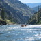 Main Salmon: near Mackay Bar Lodge