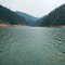 Silver Creek - Dworshak Reservoir - Ahsahka, Idaho