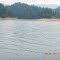 Cold Creek - Dworshak Reservoir - Ahsahka, Idaho
