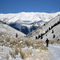 Lake Creek in Winter
