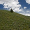 Fox Creek