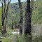  The Big Wood River winding its way around the base of the Smoky Mountains.