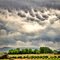 Summer storm over lavender farm near Meridian, ID