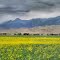 Stormy Day in Big Lost River Valley