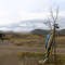 Drying tent at dunes