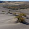 Bruneau Dunes State Park - Ever Changing Sand Scapes - Fall 07 - Tom Askew