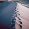 Footprints (Bruneau Sand Dunes)