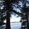 Pugh Point