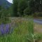 Bike trail