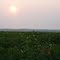 potato field and smoke from wildfire