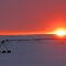 Silent Sunset
