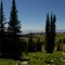 Snow Bank Mountain Meadow