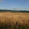 Near Cascade, Idaho along ID 55