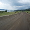 Cows Graze Along the Verges of Cascade Lake South of Donnelly ID