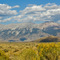 Afternoon at Chilly Flats. Sept. rabbitbrush in bloom