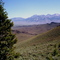 Borah & Lost River Mtns. From End of Rock Creek Road