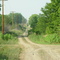 Rural Dirt Road