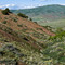 Down the North Fork City Creek above Pocatello, Idaho