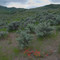 Toward the head of Trail Creek above Pocatello, Idaho
