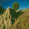 South Fork Gibson Jack ridge crest