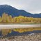 Fall On The South Fork Of The Snake River