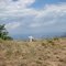 Cuddy Viewpoint
