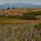 Westward from near Brownlee Summit