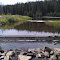 Hornet Spillway