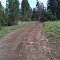 Payette Ntnl Forest