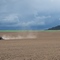 Tractor plowing fields north of Picabo, Idaho