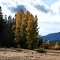 Fall at Deadwood Reservoir