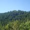 Taylor Mountain.  Looking South at one of its false summits.