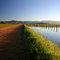 Camas Prairie