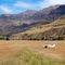 Dug Bar airstrip on Snake River