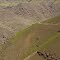 Road to Dug Bar, Hells Canyon National Recreation Area