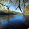 Boise River 6 (Autumn)
