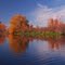 Boise River 7 (Autumn)