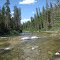 South Fork Salmon River