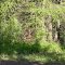 Trailhead