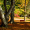 Child's Park