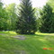 Bruin Cemetery