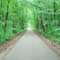 Old Fire Tower Road