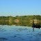 Fishing on Cook Lake